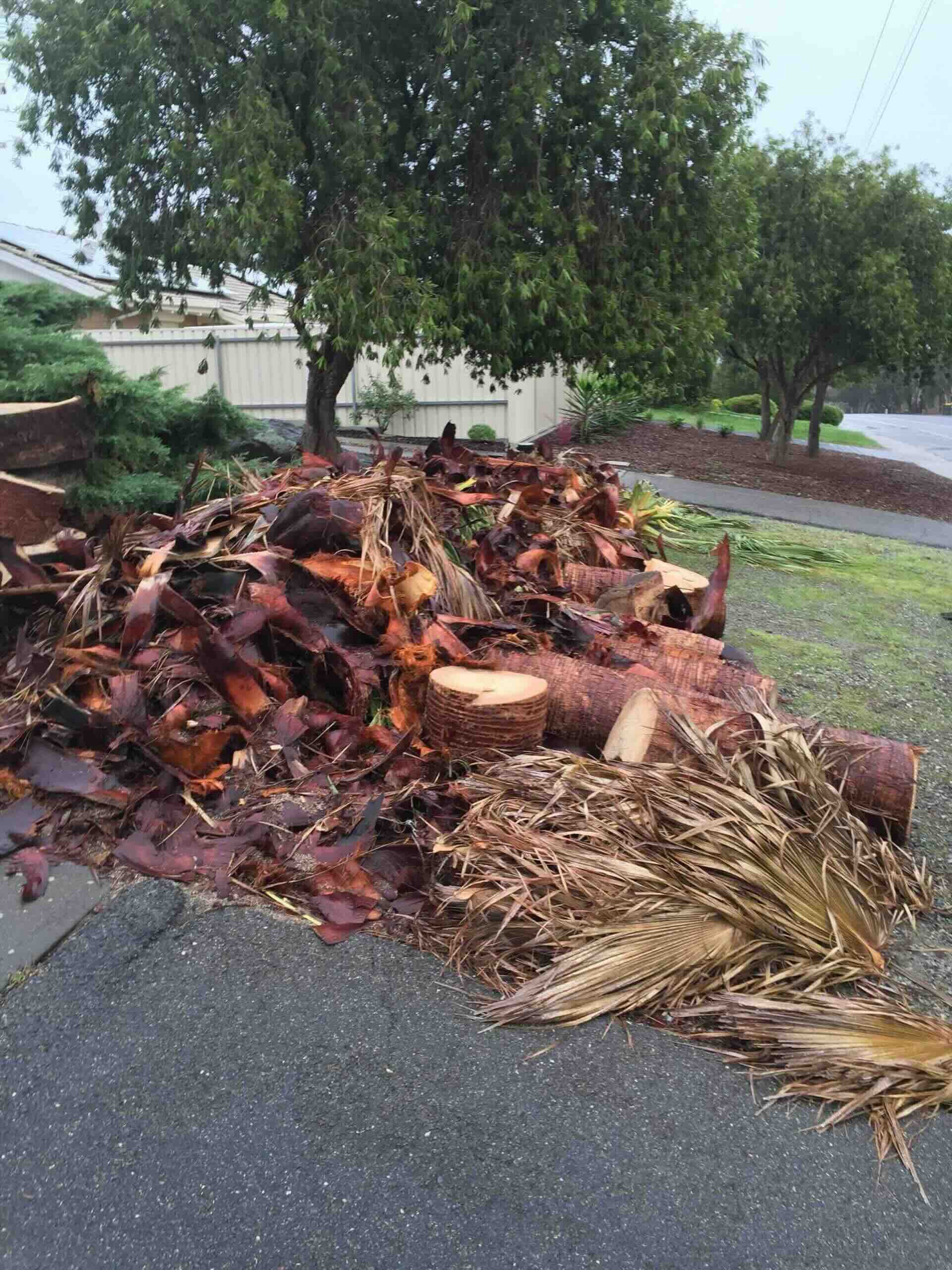 Green-tree-waste-on-verge-adelaide